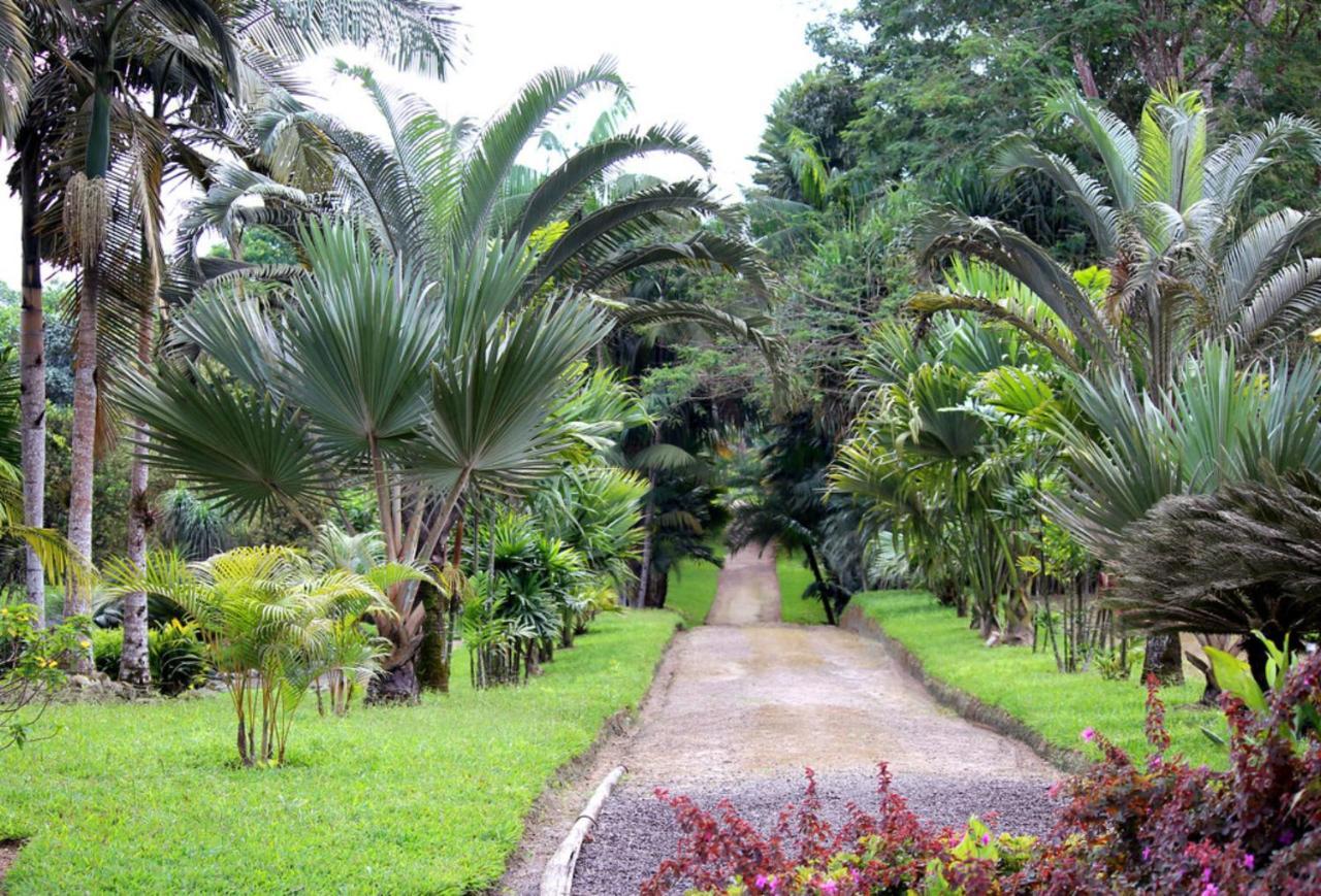 Bnb Tropical Island Aparthotel - Corales Del Sur - Santo Domingo Este Exteriör bild